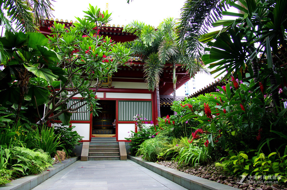 【狮城散记（七）】精美的佛牙寺