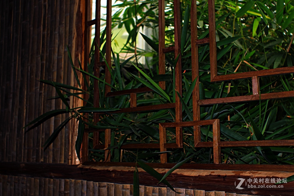 《M3绿莱28/2.8阴雨天试镜照》