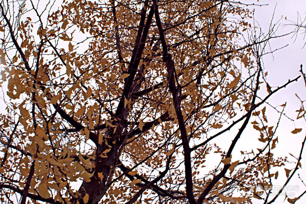 《M3绿莱28/2.8阴雨天试镜照》