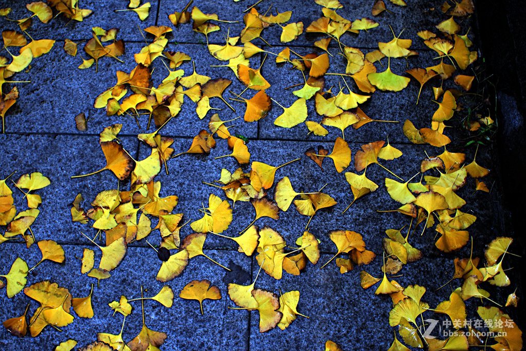 《M3绿莱28/2.8阴雨天试镜照》