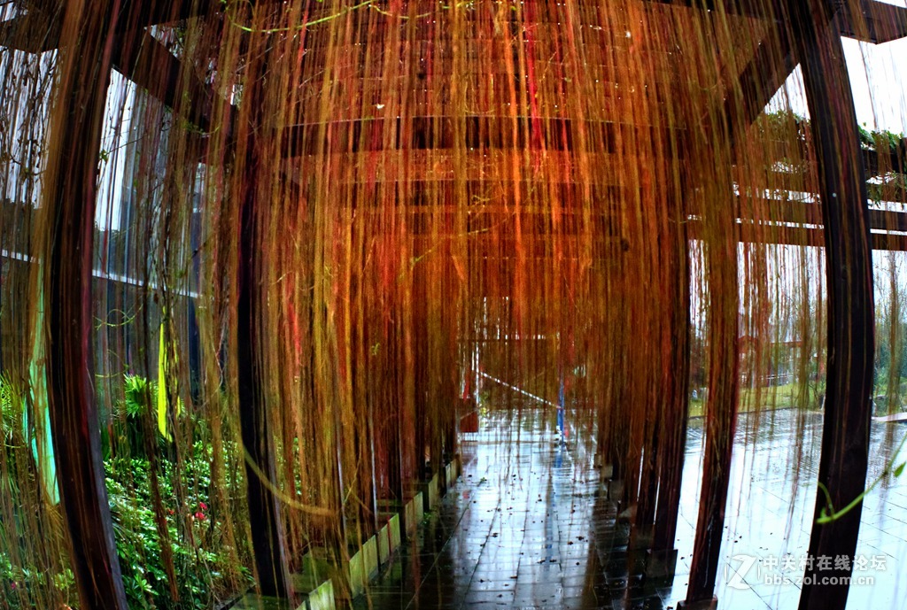 《M3绿莱28/2.8阴雨天试镜照》