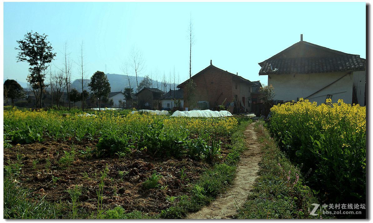 陕南田园风光篇《2》