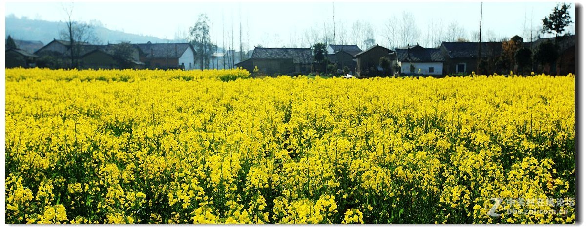 陕南田园风光篇《2》