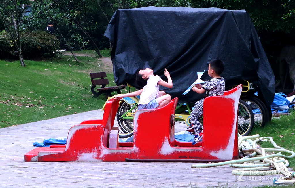 《飞》---献给孩子们