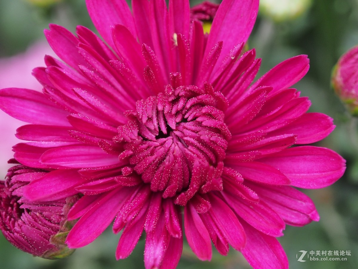 入手一月，发几张近期随拍。