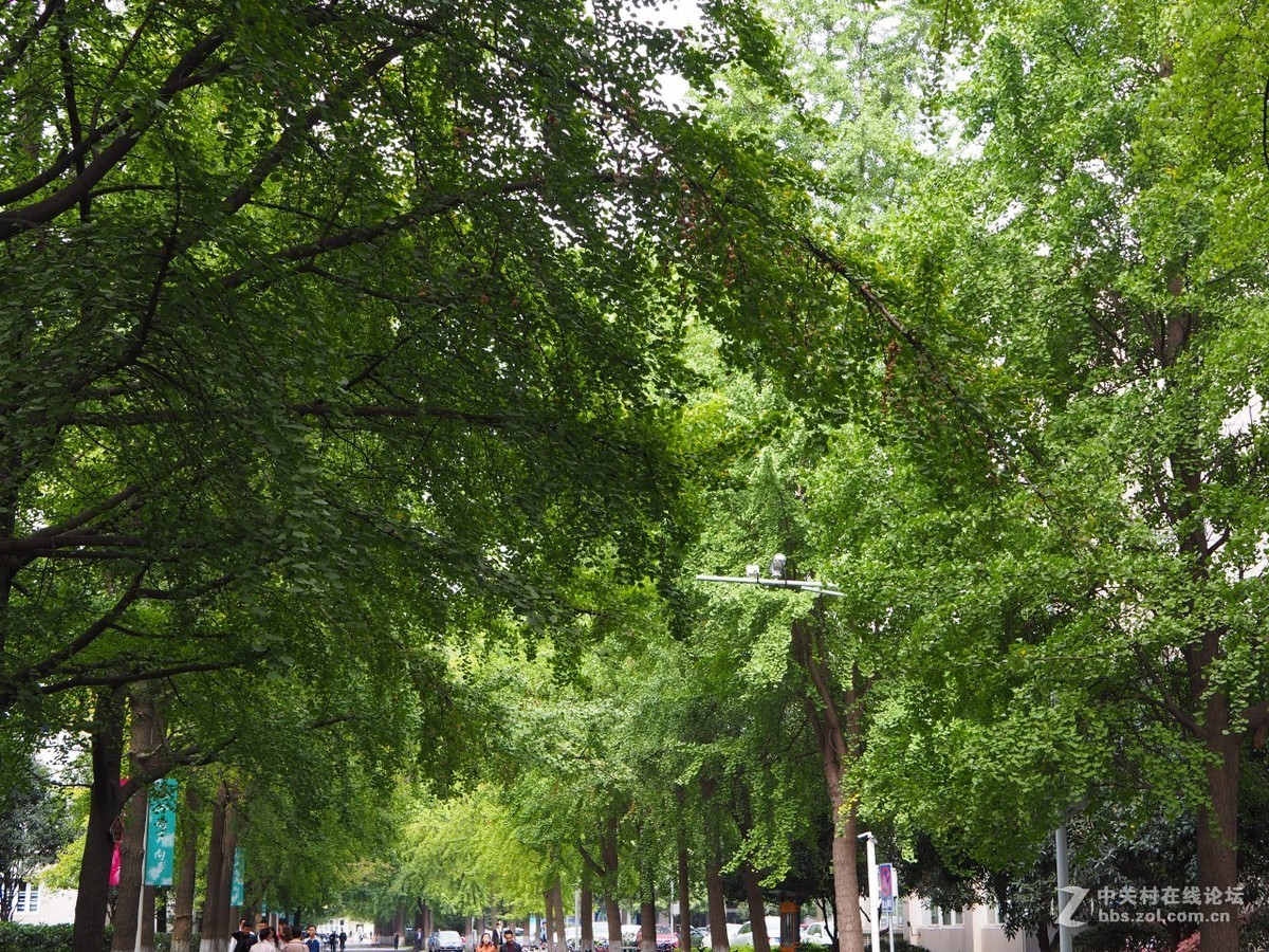 入手一月，发几张近期随拍。