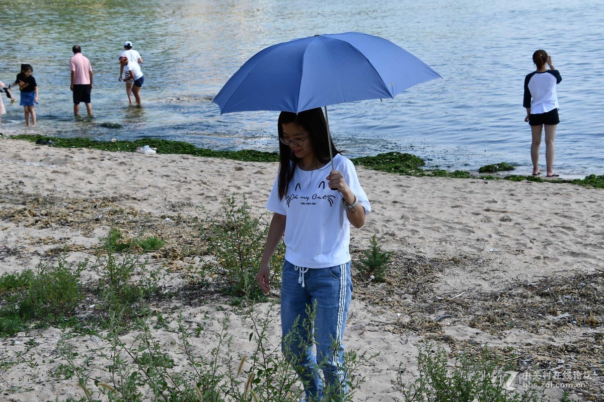 牟平养马岛抖音地区