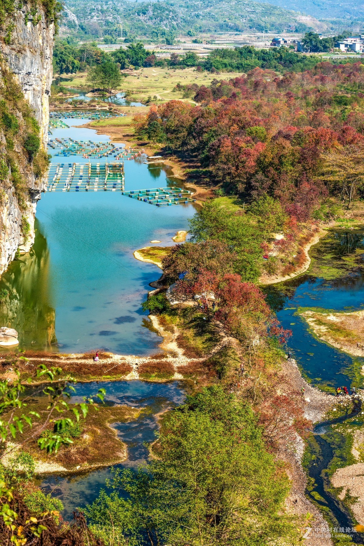 桂林乌桕滩风光风景续