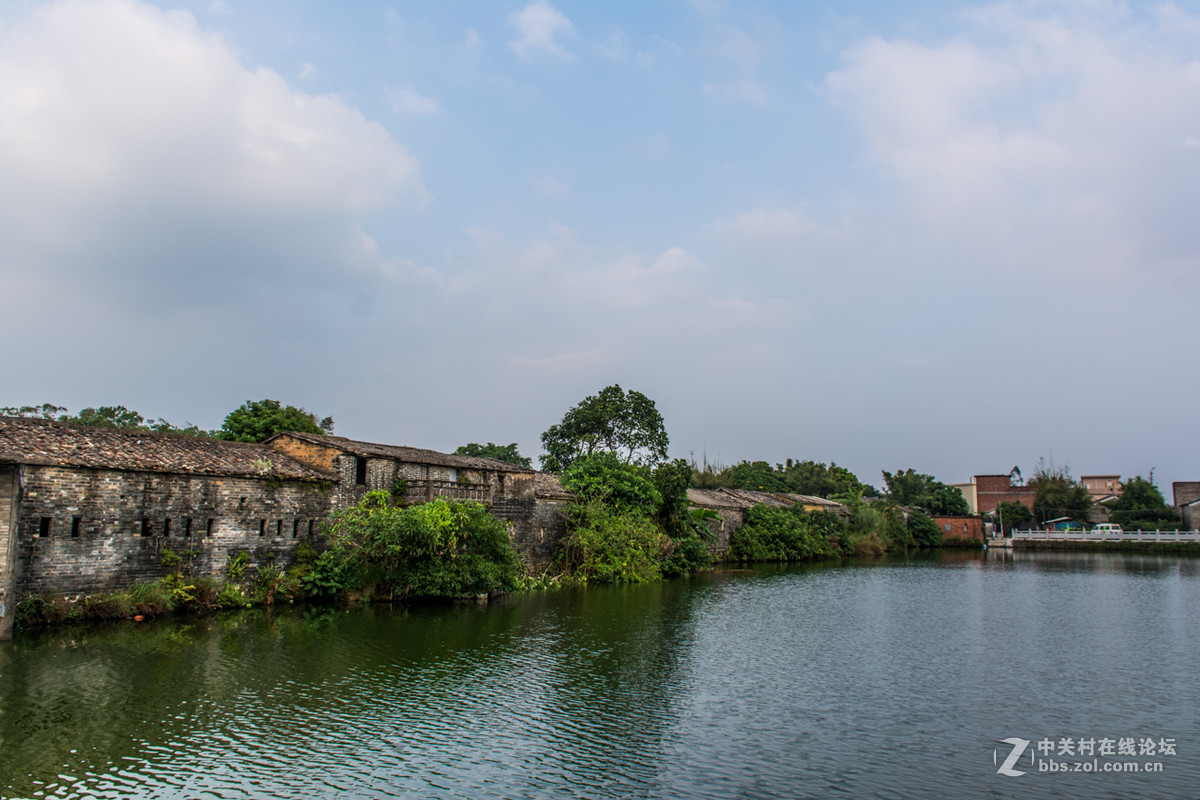 阳西大洲村古村落图片