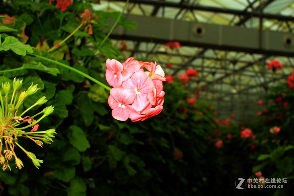 《M3绿莱28/2.8阴雨天试镜照》