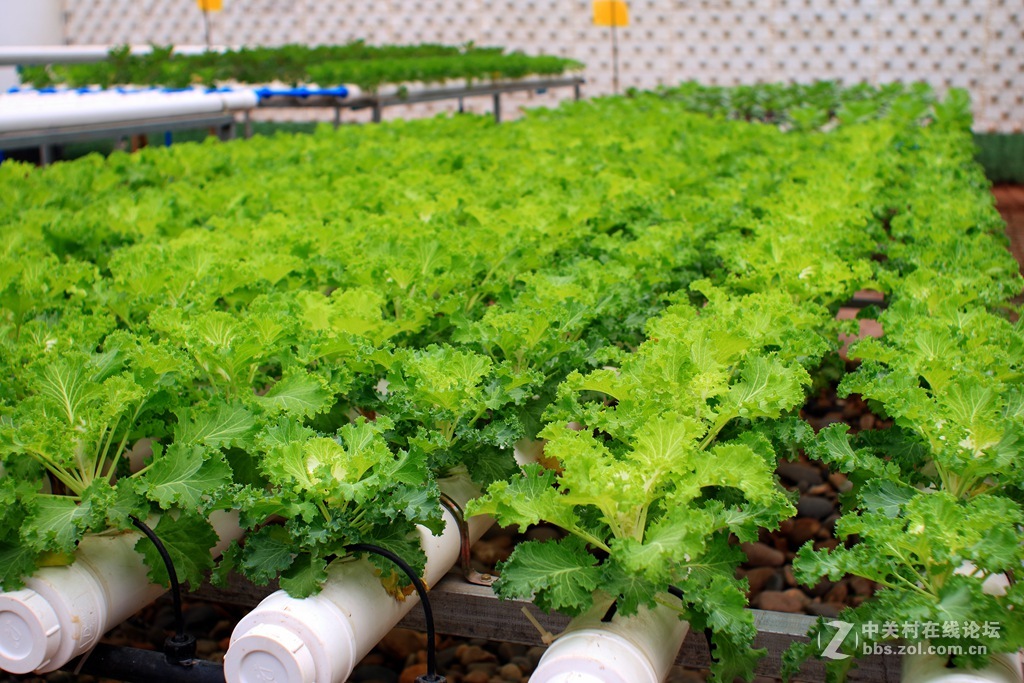 《M3绿莱28/2.8阴雨天试镜照》