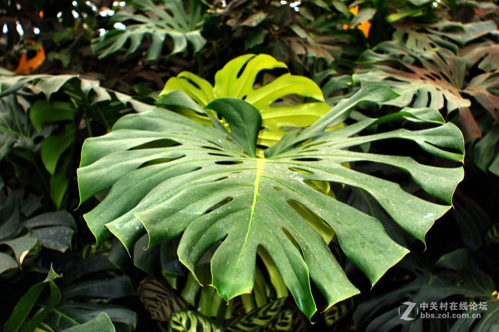 《M3绿莱28/2.8阴雨天试镜照》