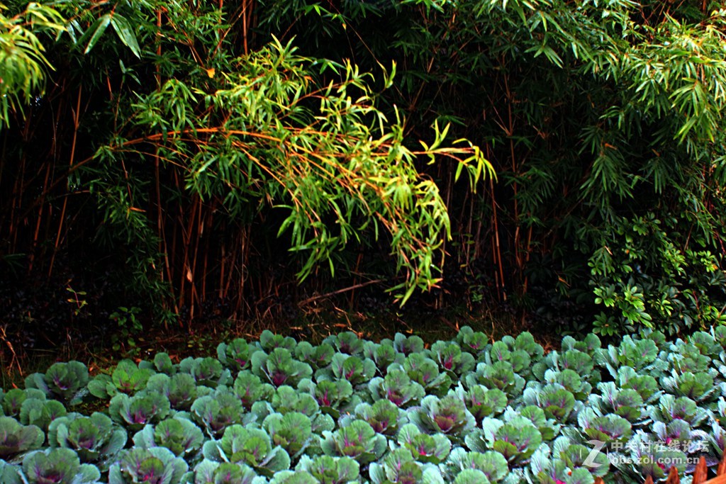 《M3绿莱28/2.8阴雨天试镜照》