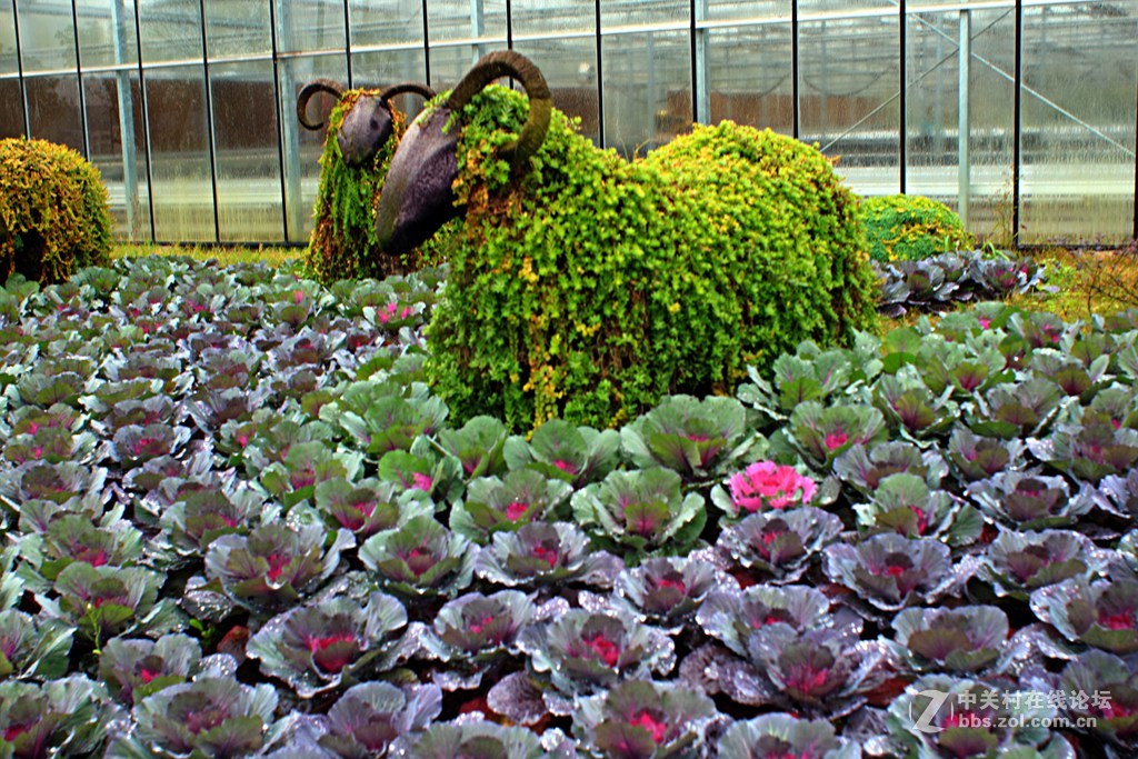 《M3绿莱28/2.8阴雨天试镜照》