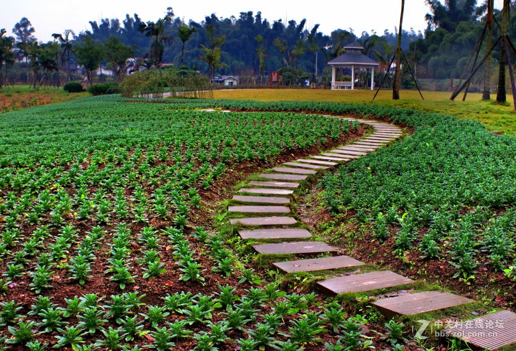 《M3绿莱28/2.8阴雨天试镜照》