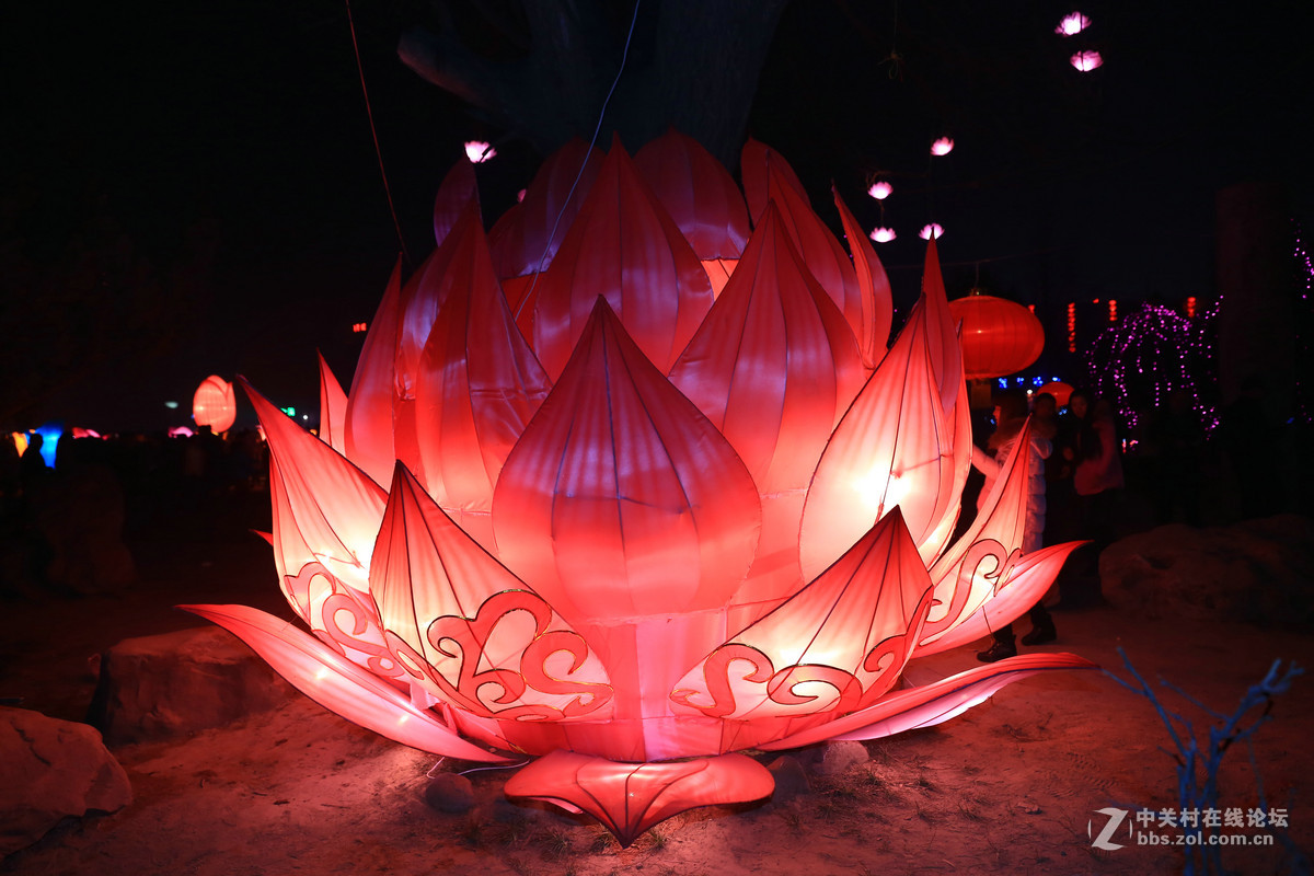 首届中国韩城韩国国际灯会