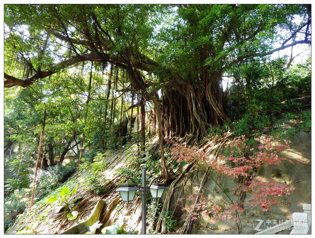 福建福州------乌山,于山及五一广场风光-中关村在线摄影论坛