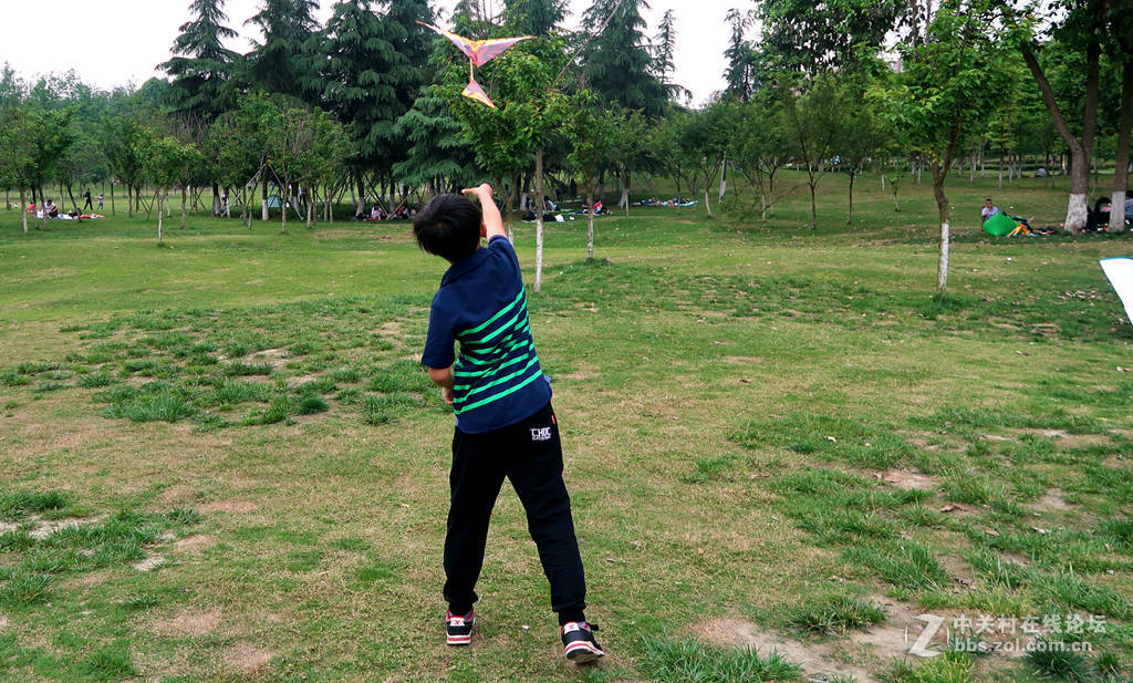 《飞》---献给孩子们