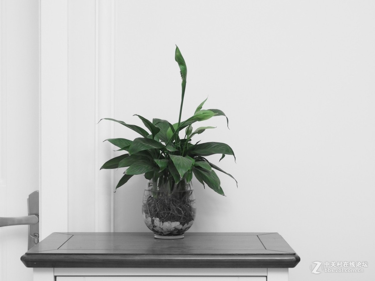 入手一月，发几张近期随拍。