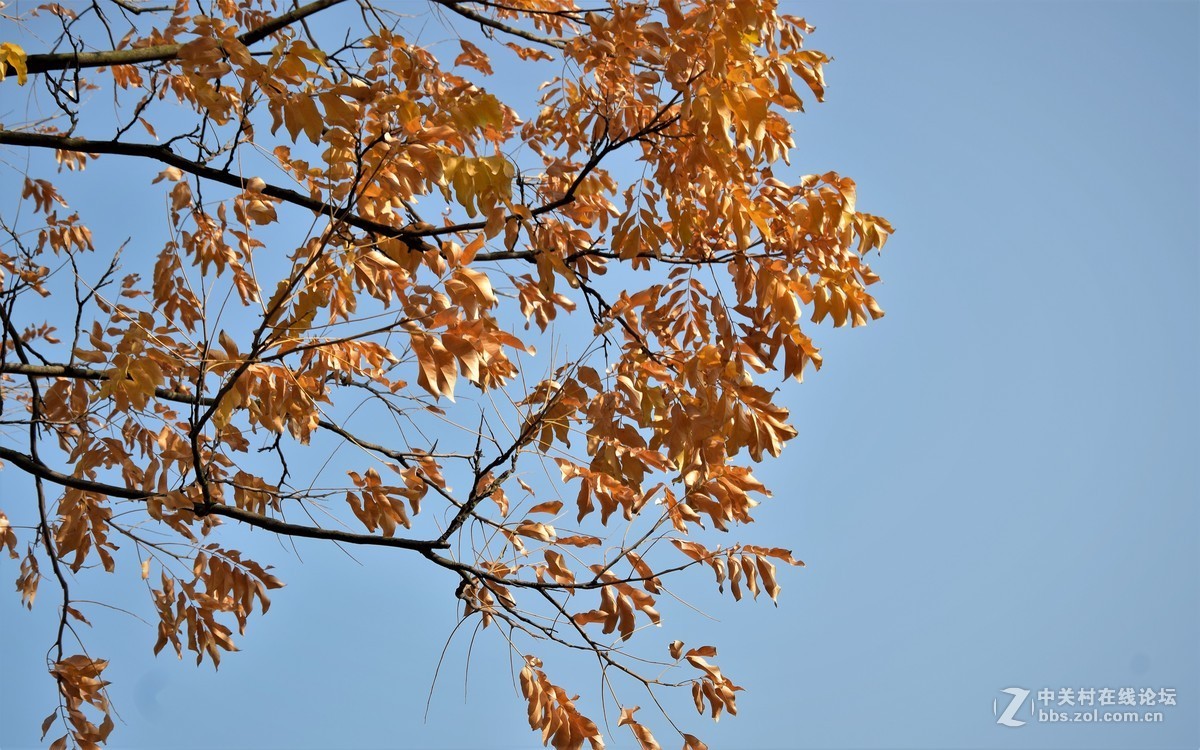 学习摄影