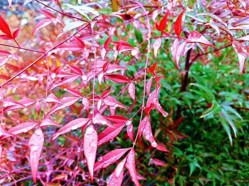 莫叹风景萧飒 趁天气晴好来长春观感受冬日暖阳下的美景