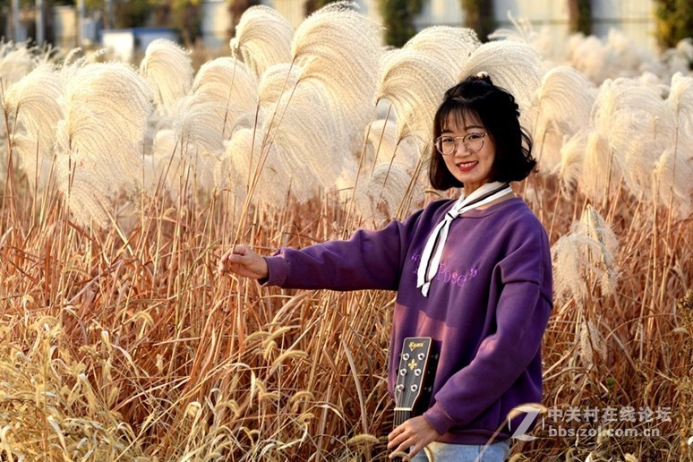 芦苇花美女