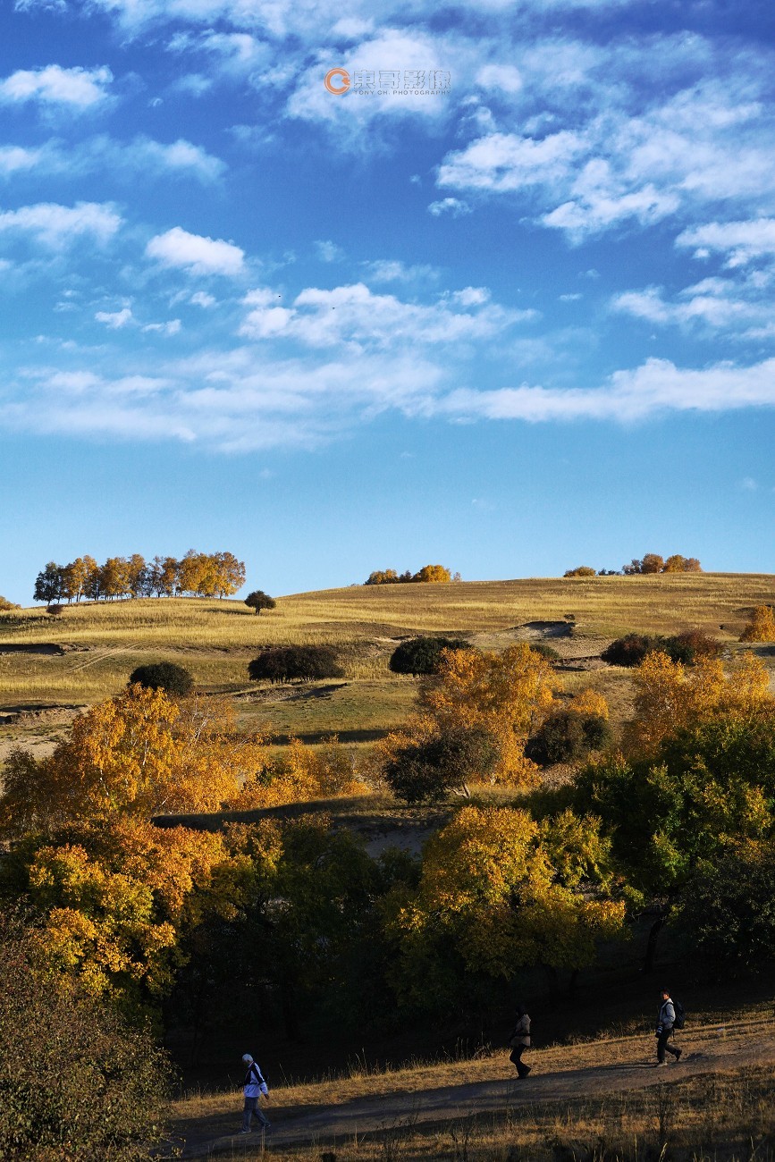 #ZOL月赛晒秋# 透风沟晨曦秋映