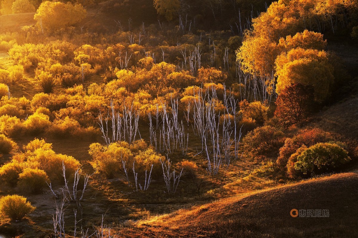 #ZOL月赛晒秋# 透风沟晨曦秋映