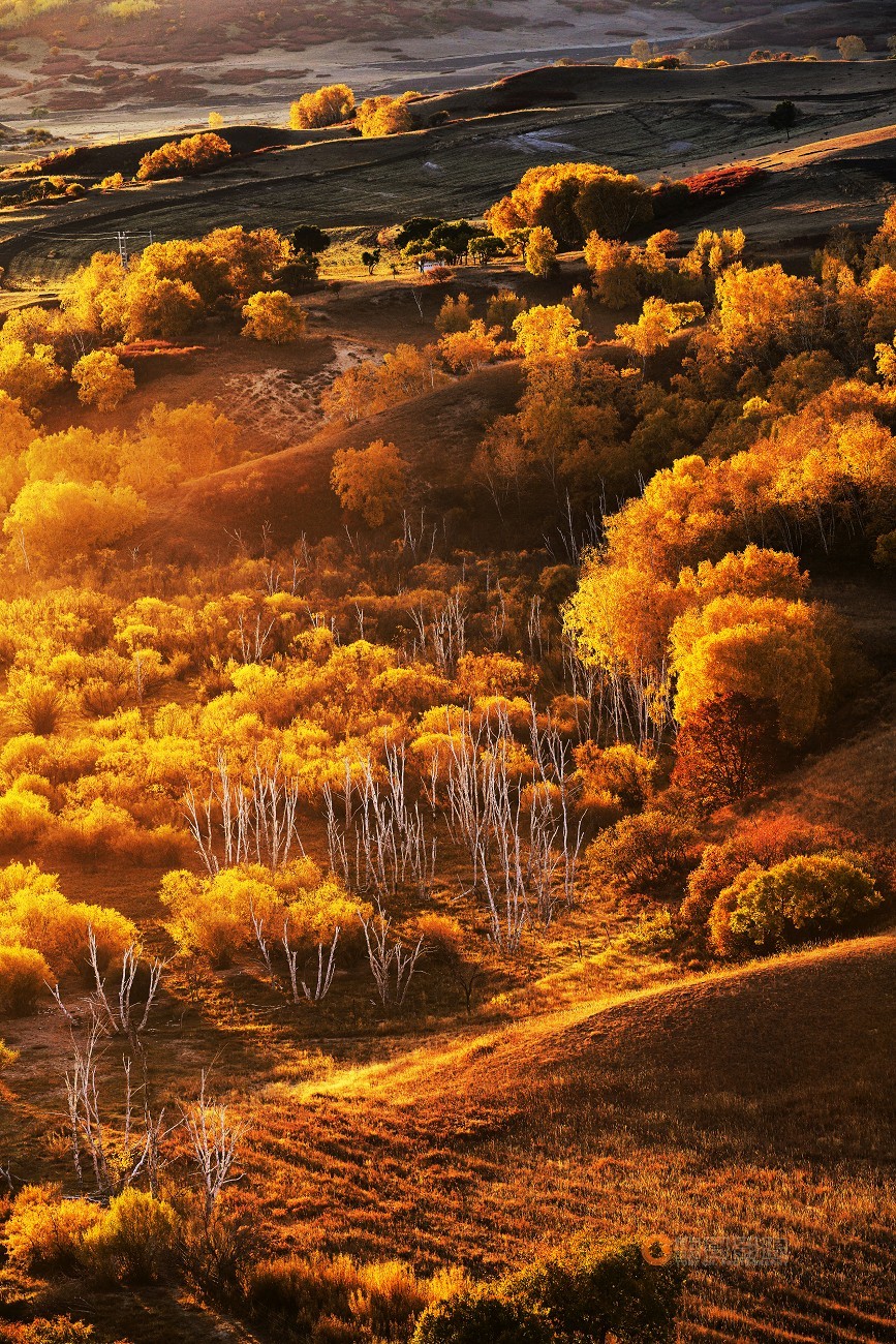 #ZOL月赛晒秋# 透风沟晨曦秋映