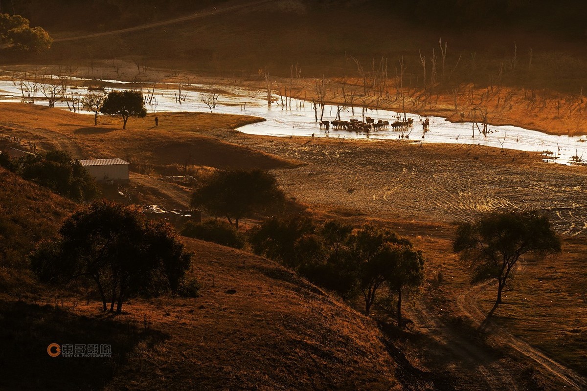 #ZOL月赛晒秋# 透风沟晨曦秋映