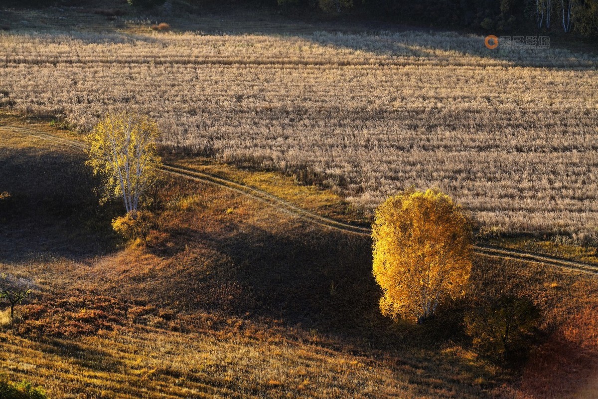#ZOL月赛晒秋# 透风沟晨曦秋映