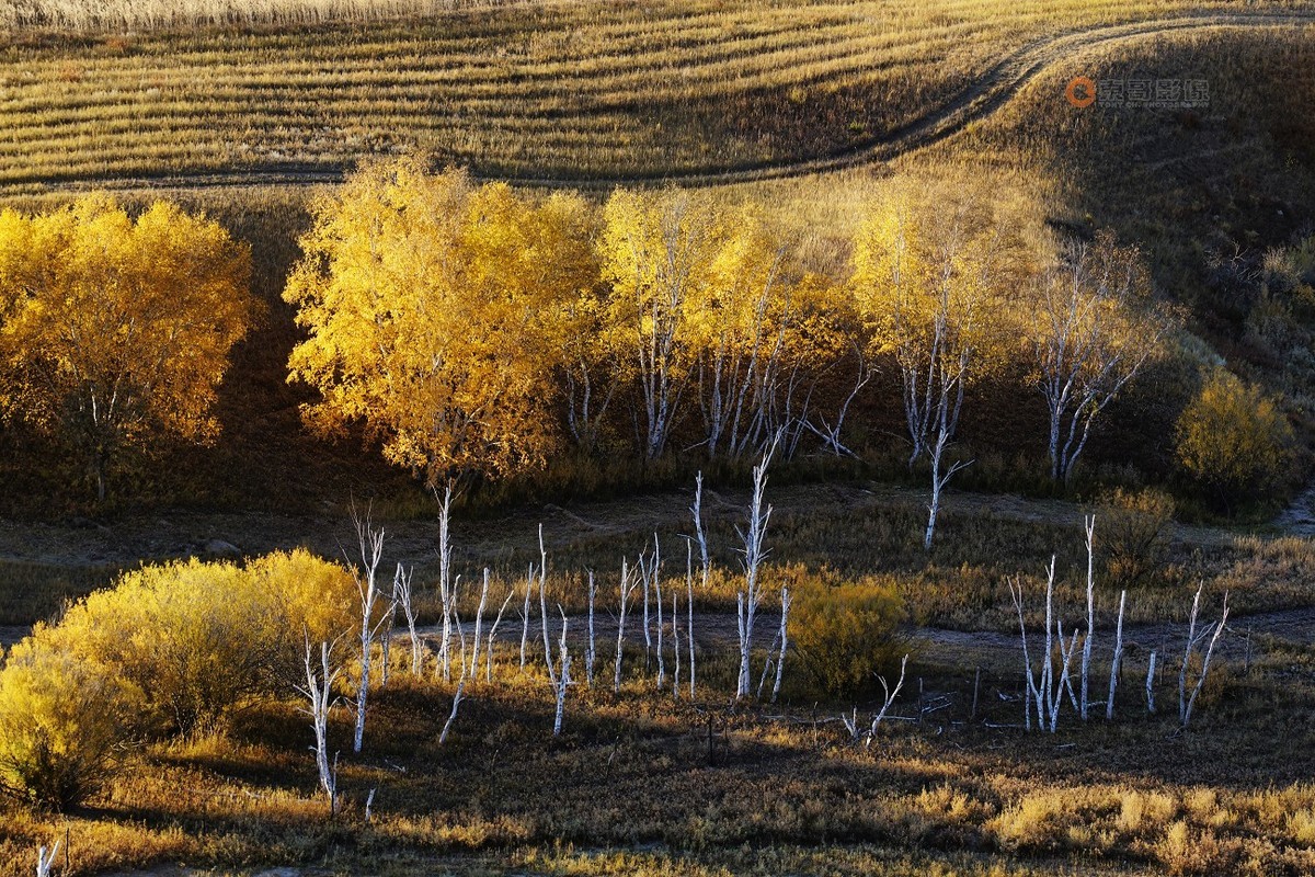 #ZOL月赛晒秋# 透风沟晨曦秋映