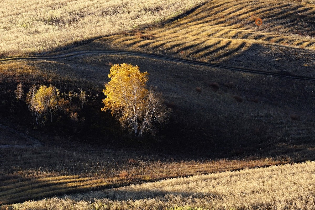 #ZOL月赛晒秋# 透风沟晨曦秋映