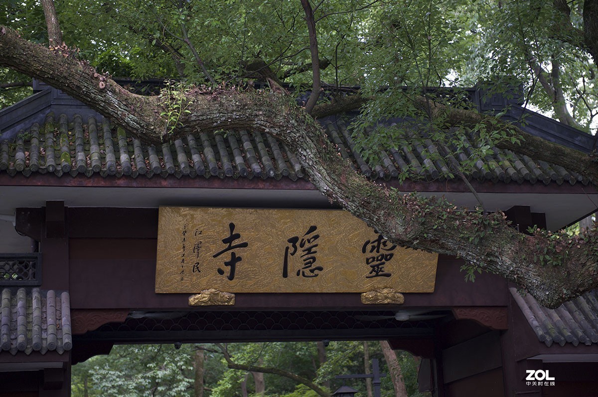 几张老照片贺好友＂知秋a＂ 荣任徕卡版主