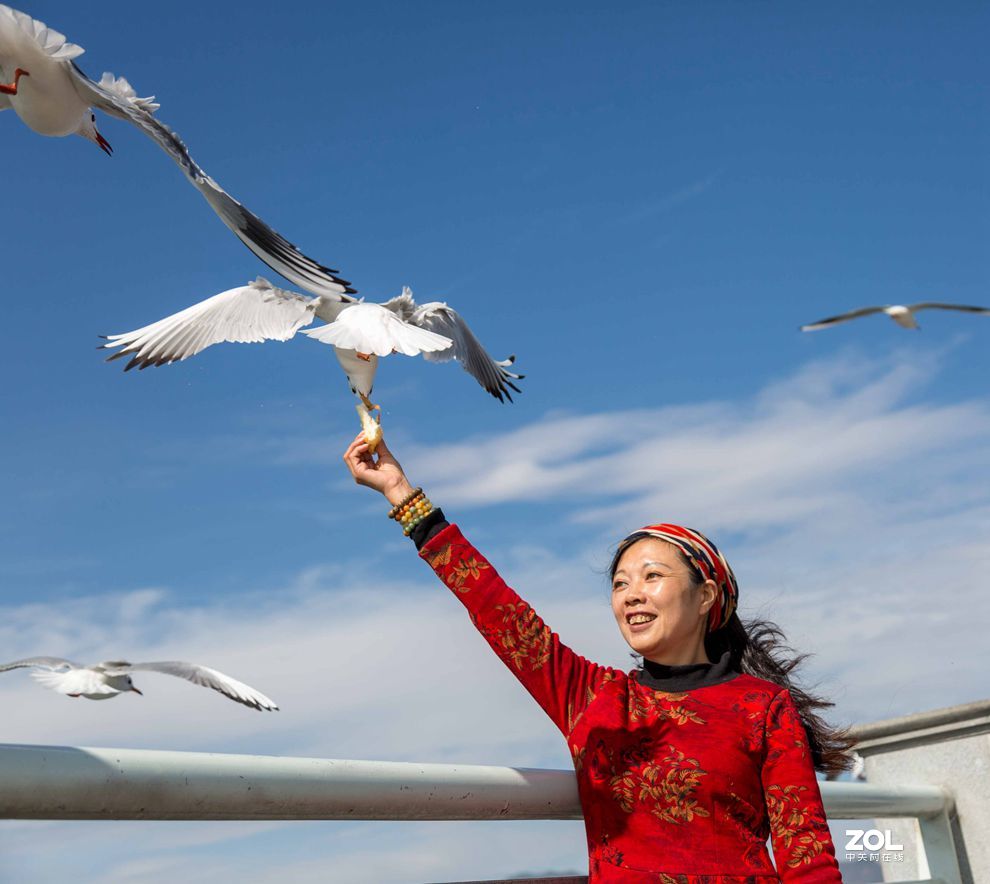 情操的陶冶    爱心的奉献