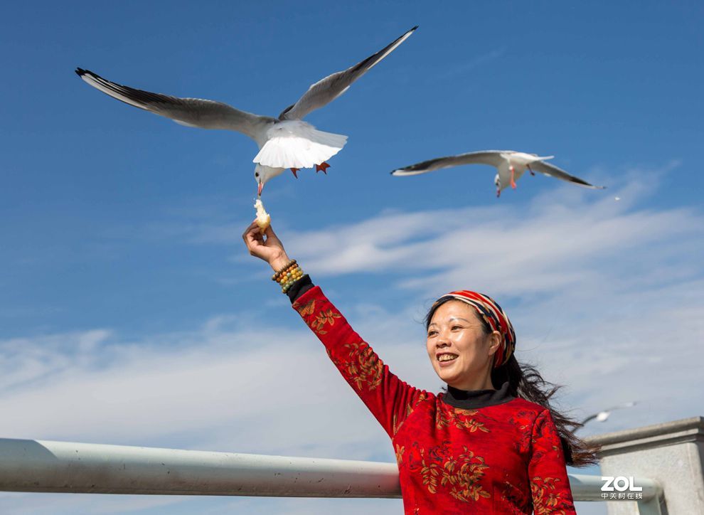 情操的陶冶    爱心的奉献