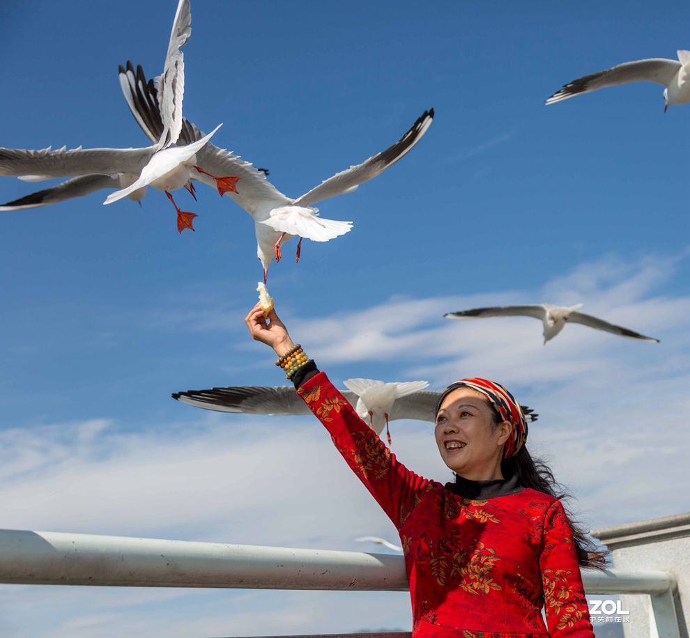 情操的陶冶    爱心的奉献