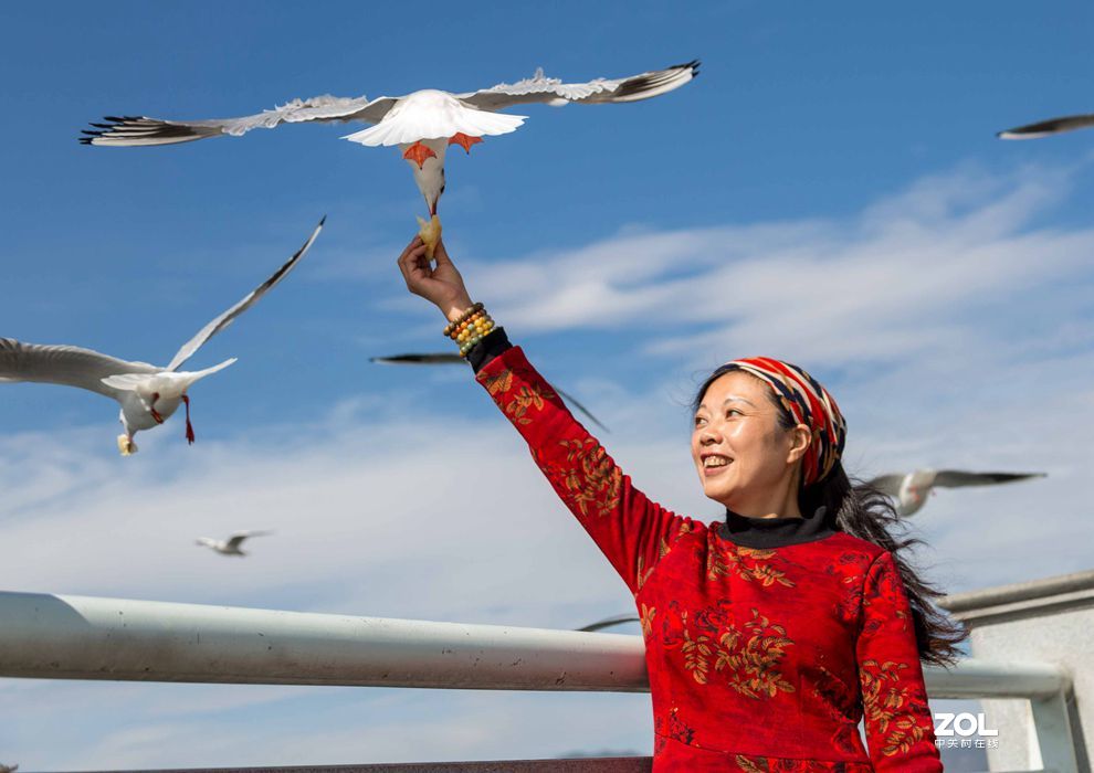 情操的陶冶    爱心的奉献