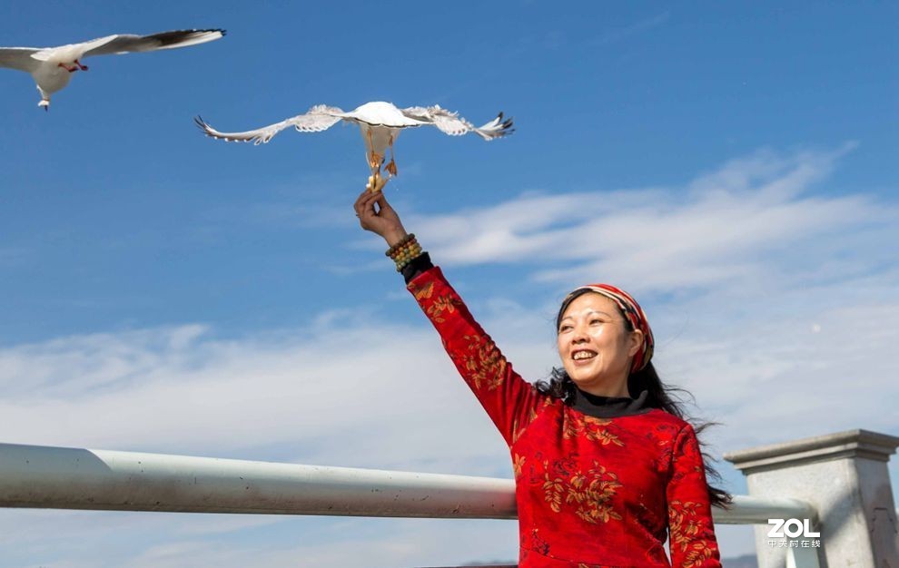 情操的陶冶    爱心的奉献