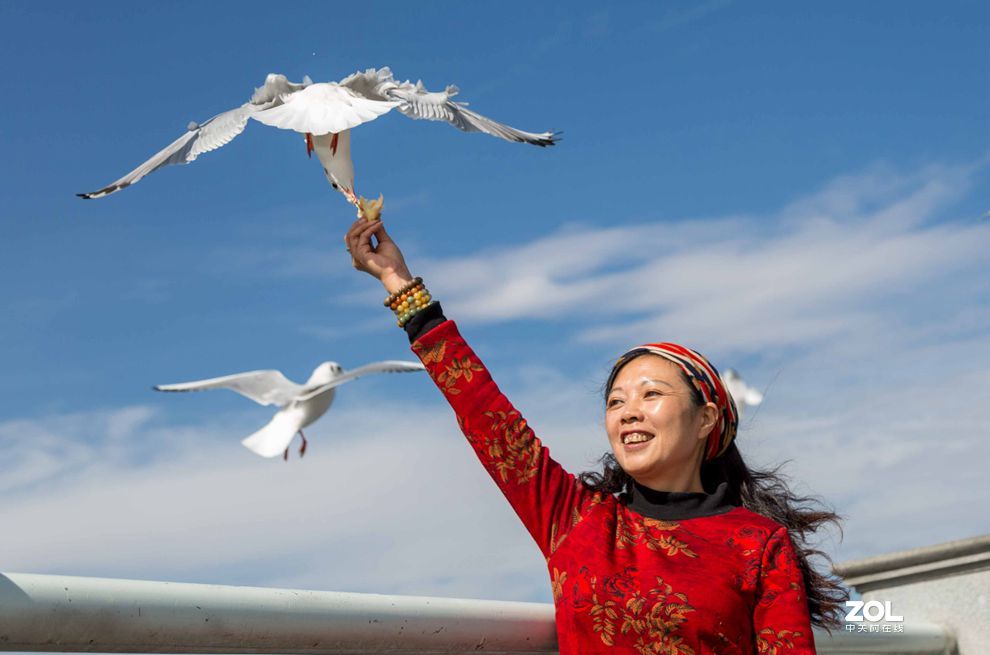 情操的陶冶    爱心的奉献