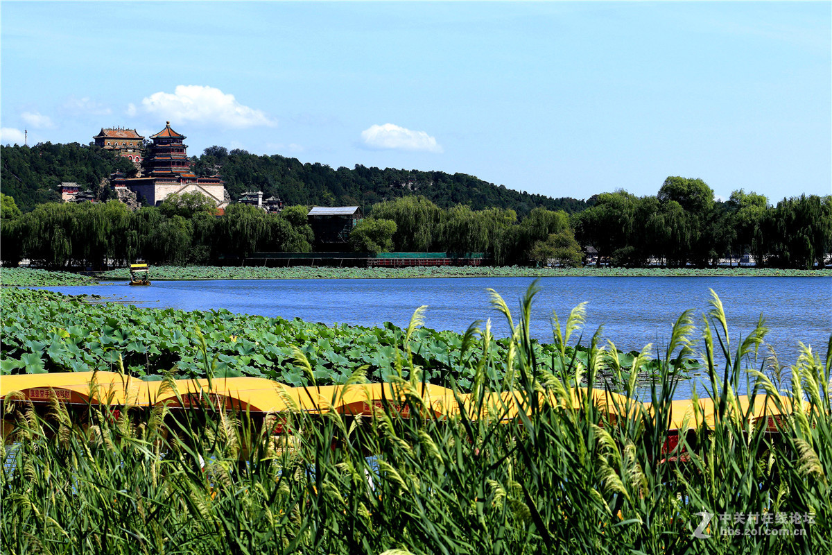 颐和园闲拍，续。