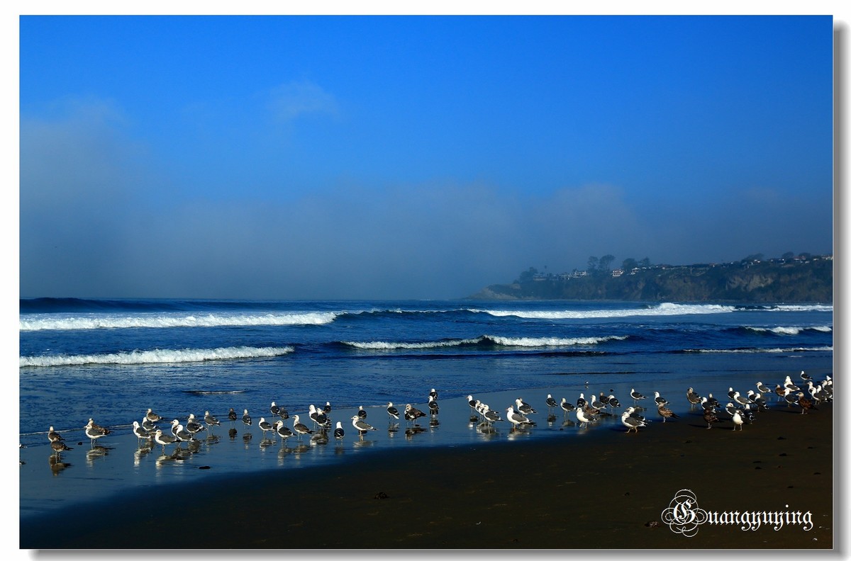 洛杉矶达因波恩特和长滩