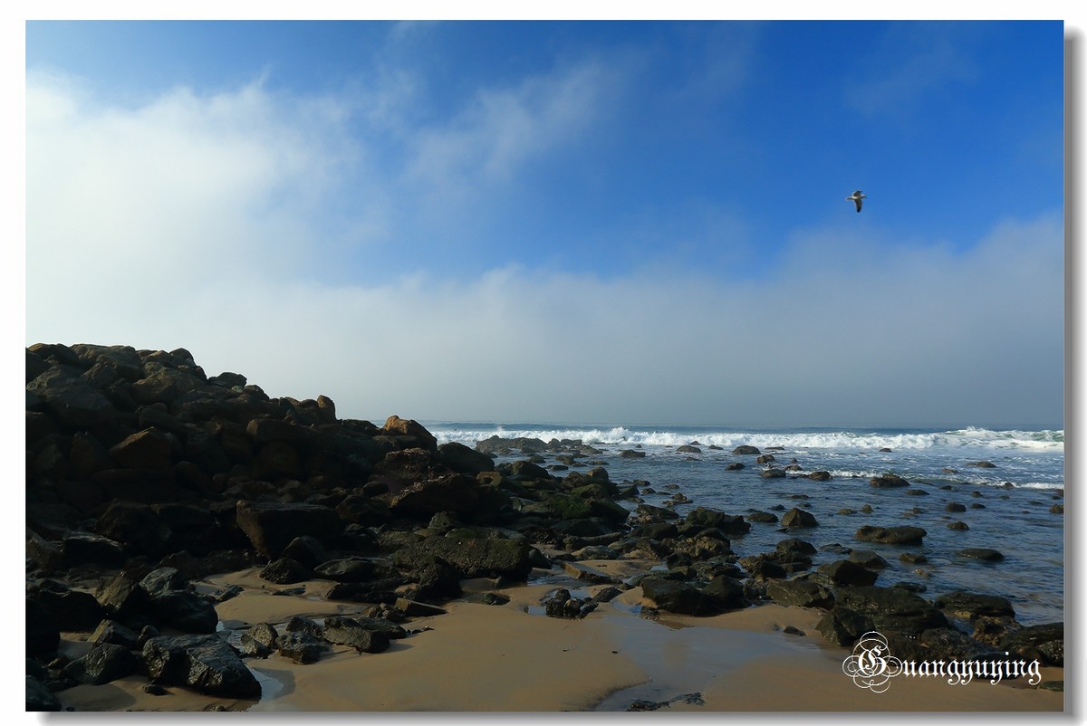 洛杉矶达因波恩特和长滩