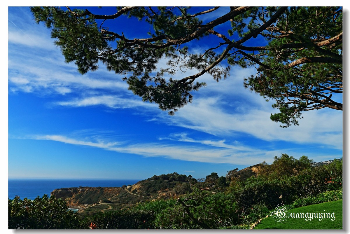 洛杉矶达因波恩特和长滩