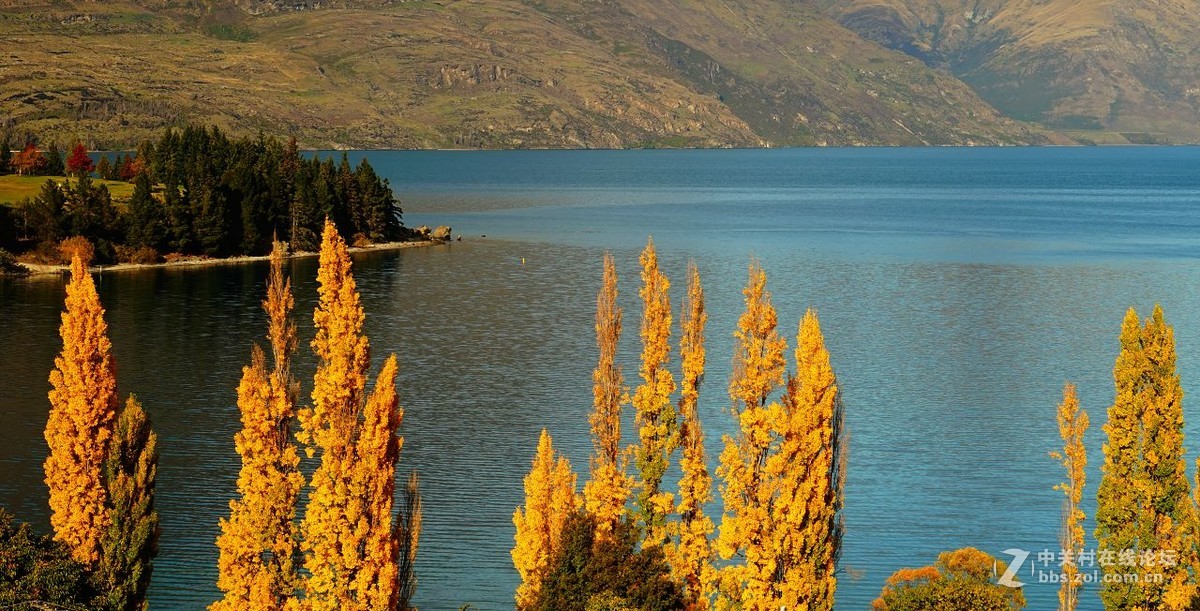 诗和远方：新西兰（2）