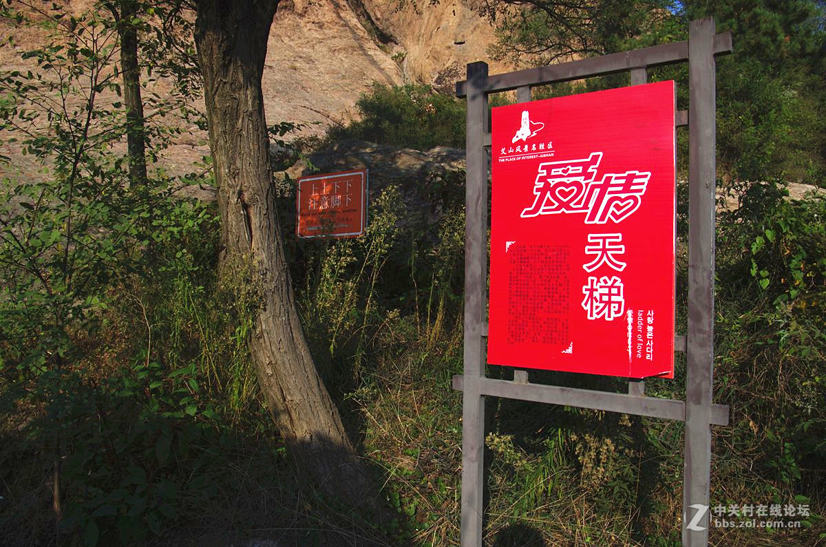 『东石』123...11p