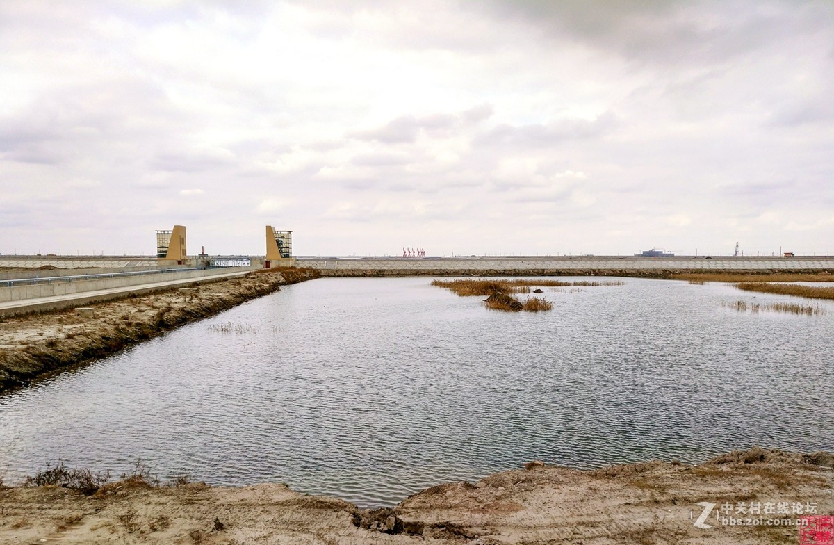 东灶港