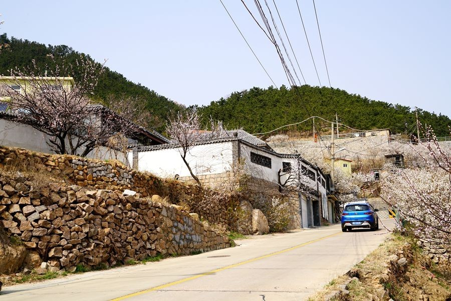 初春南北岭村