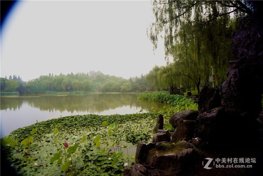 雨中的国花园美丽俏佳人