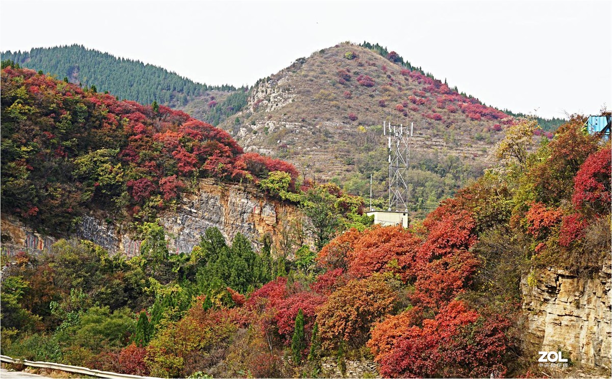 东廂村头红叶美，峰回路转藏翠微。